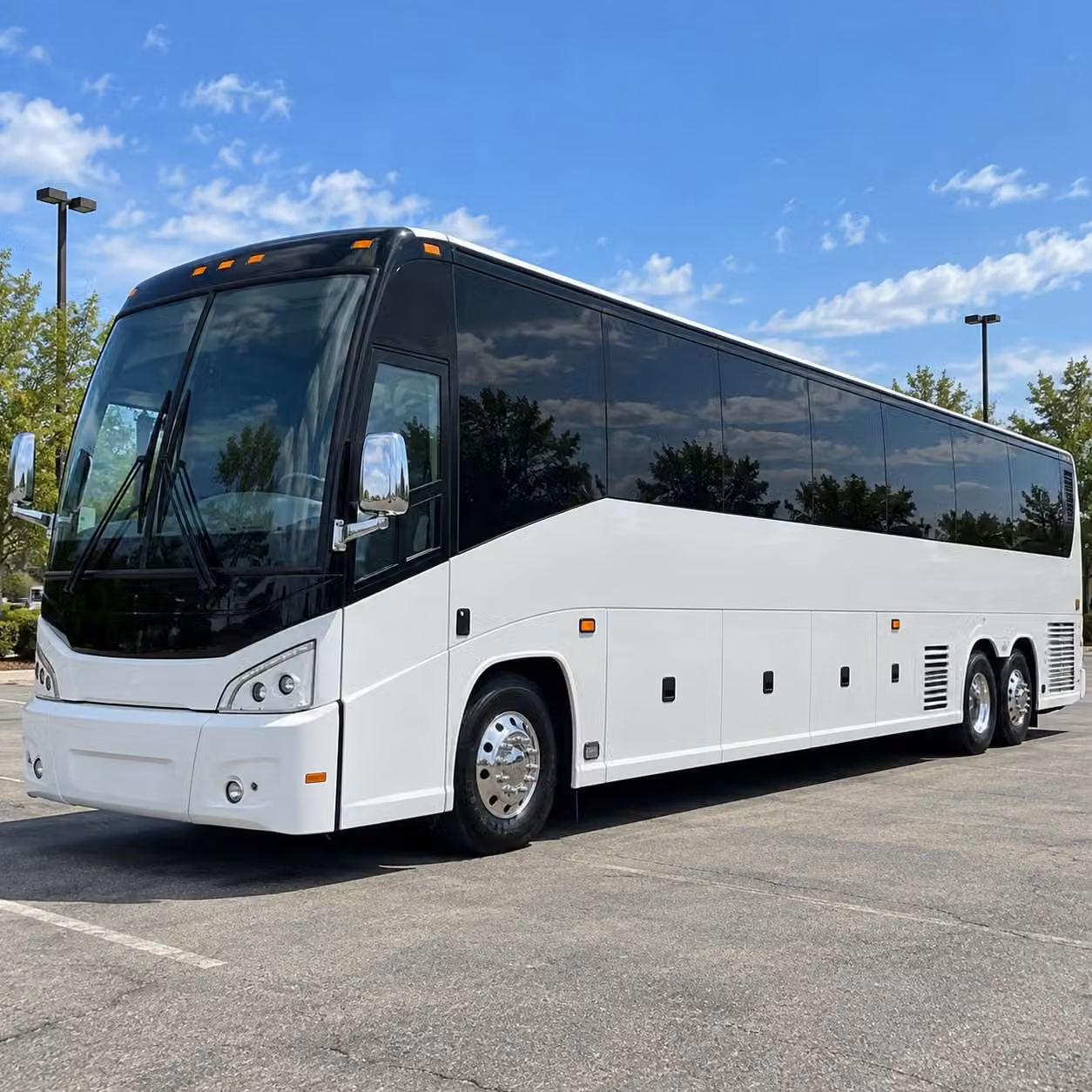 compare petaluma youth sports team transportation options side by side