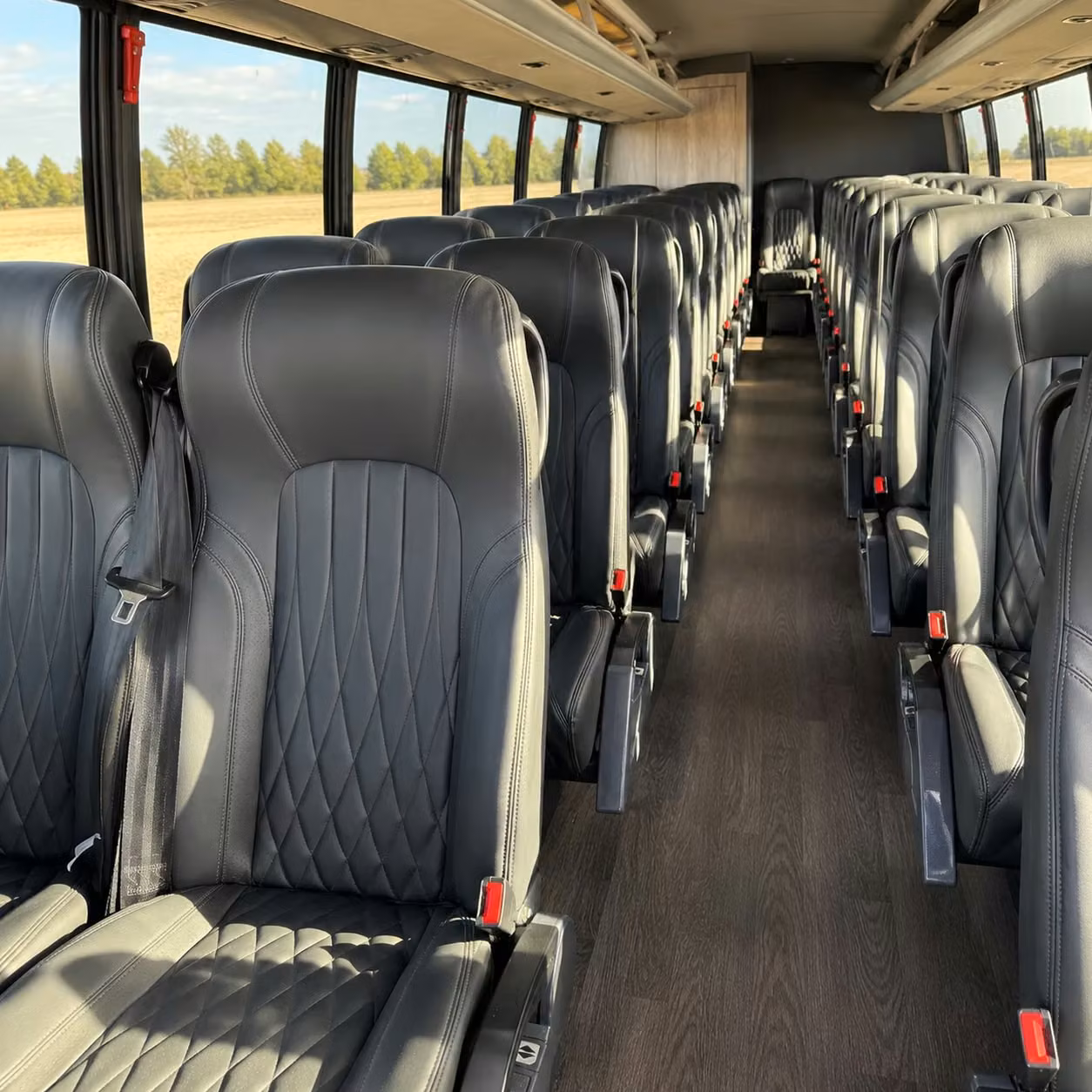 petaluma 25 passenger minibus rental