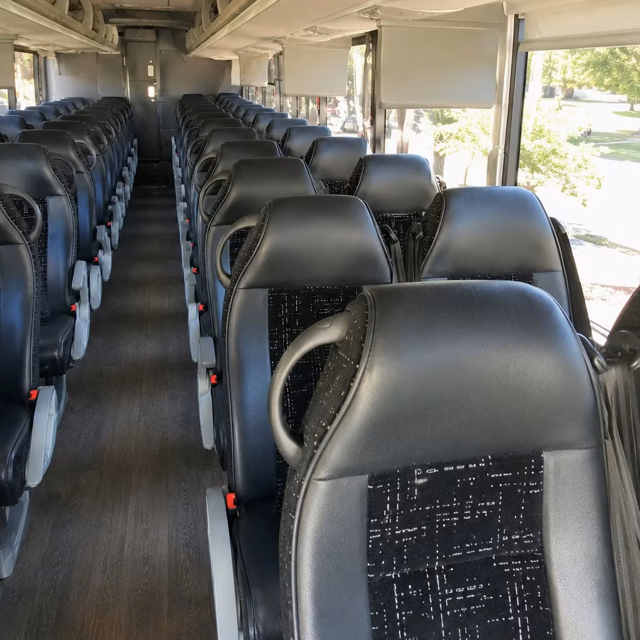Petaluma Group Transportation Services
